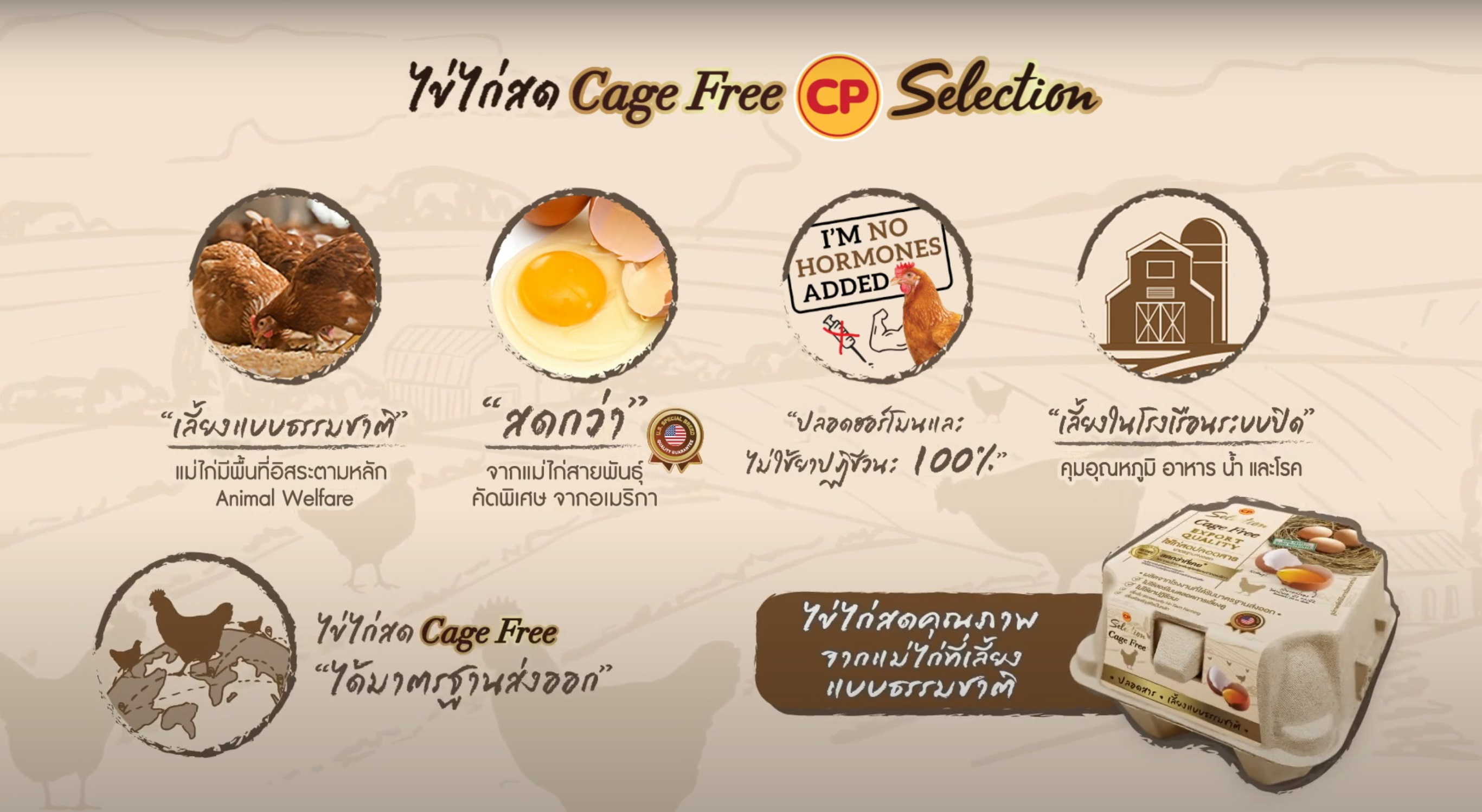 ทำไมต้องไข่ไก่สด Cage Free CP Selection